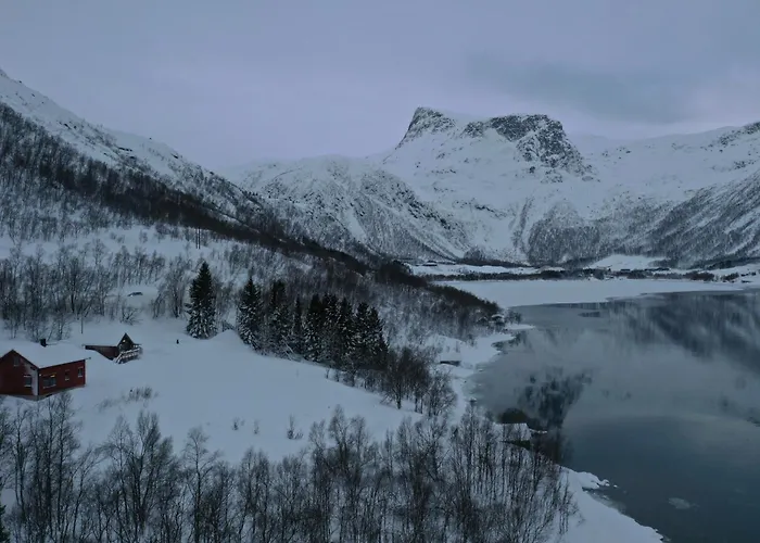 Дом отдыха Nesset I Fiskfjord *